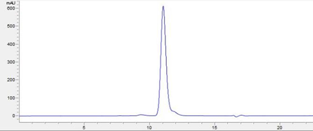 SEC- HPLC Purity.png