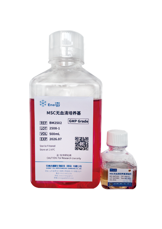 GMP级—人间充质干细胞（MSC）培养试剂盒